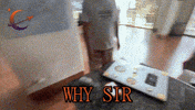 Question Explain GIF by MrMoonMission