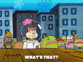 season 5 GIF by SpongeBob SquarePants