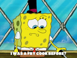 season 5 GIF by SpongeBob SquarePants