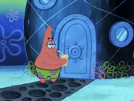season 5 GIF by SpongeBob SquarePants