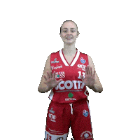 Basketball Sticker by Use Basket