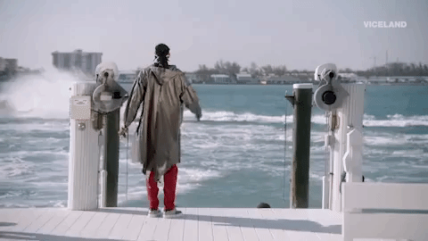 viceland GIF by MOST EXPENSIVEST