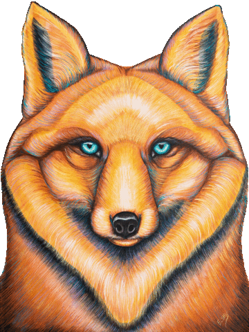 ekaterinaskyart art fox eyes orange GIF