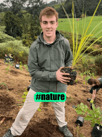 natewilbourne nature new zealand nate mother earth GIF