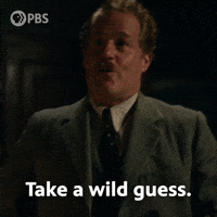Take A Wild Guess