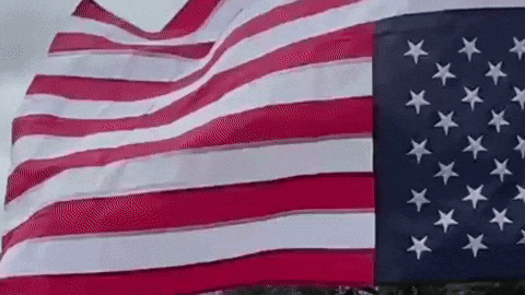 America Protest GIF by Respective