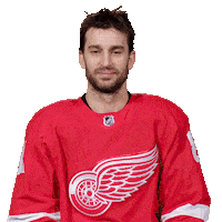 Ice Hockey Thumbs Up Sticker by Detroit Red Wings