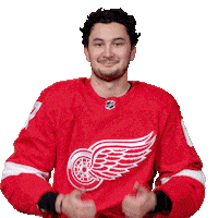 Ice Hockey Thumbs Up Sticker by Detroit Red Wings