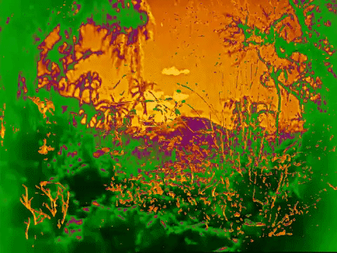art colors GIF by MFD