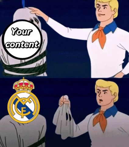Real Madrid Fan GIF