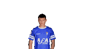 sanfernandocd san fernando cd nikola stajic Sticker