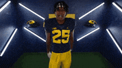 Go Blue College Football GIF by Michigan Athletics