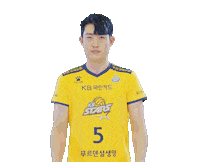 kbstarsvc kb스타즈 kb스타즈배구단 스타즈 스타즈배구단 Sticker