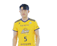 Kb스타즈 Sticker by KB STARS VOLLEYBALL CLUB