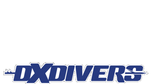Dxdivers giphyupload Sticker