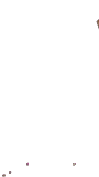 Easter Bunny Sticker by Heitmann Home und Deco