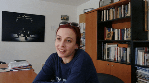 krastioatanassov giphyupload giphycreatortest bullshit vesela babinova GIF