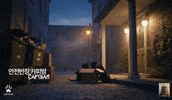 Cats Stealing GIF