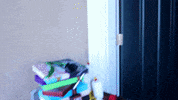 Bailey GIF by The Streamy Awards