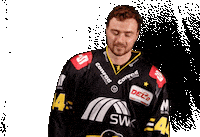 Del2 Seidenstadt Sticker by Krefeld Pinguine