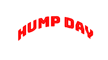 turn around lead Sticker by Dr. Donna Thomas Rodgers