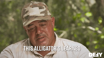 This Alligator's Learned To Interact With Humans