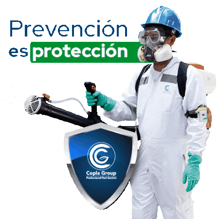 Control De Plagas Sticker by copla group