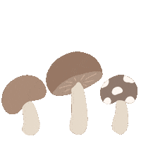 Autumn Sticker