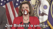 Election 2020 GIF by GIPHY News