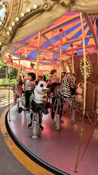 Carousel Zoos GIF by Oakland Zoo