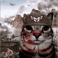 Cat Meme GIF by HEROIC