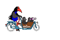 BikeAKL cycling cyclist bikelife auckland Sticker
