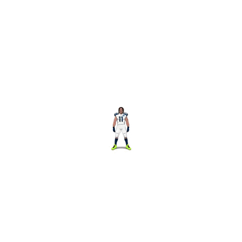 Super Bowl Football GIF by Panini America