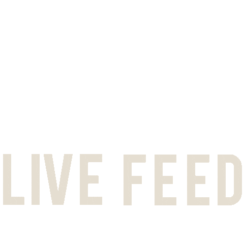 Swipe Up Live Feed Sticker by NanaMacs Boutique