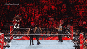 Sport Wwe GIF by USA Network