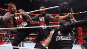 Sport Wwe GIF by USA Network