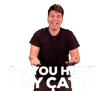 Cats Chris Vavra Sticker by Originals