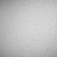 Friends Struggle GIF by Calvin Klein