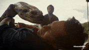 Anaconda GIF by Sony Pictures Germany