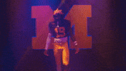 Go Blue Michigan Football GIF by Michigan Athletics