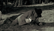 drunken GIF