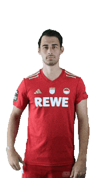 Rwk Sticker by Hockey-Bundesliga