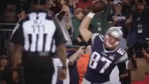 new england patriots gronk spike GIF