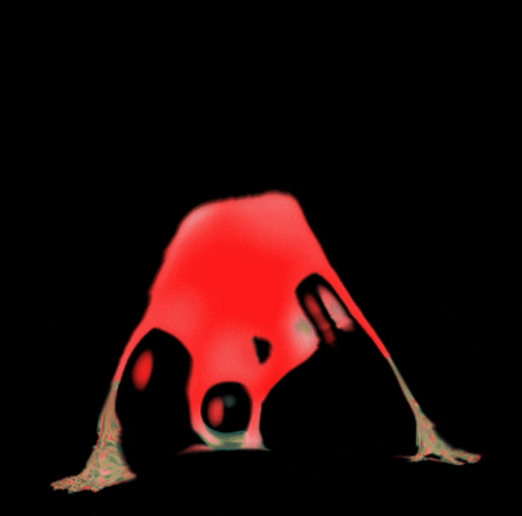 happytype giphyupload GIF