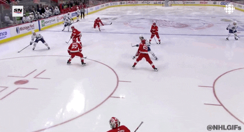 Ice Hockey Sport GIF by NHL