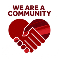 stonybrooku love sad care respect GIF