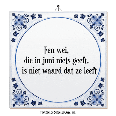 Humor Nl Sticker by Tegelspreuken.nl