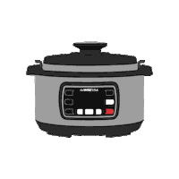Pressure Cooker Instant Pot Sticker by GoWISE USA