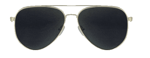 sunglasses shades Sticker by GLVSS