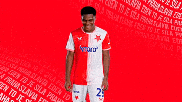 Football Celebrate GIF by SK Slavia Praha